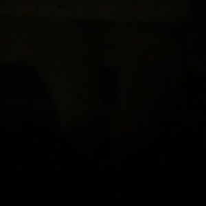 Meet your Posher, Kimber